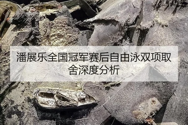 潘展乐全国冠军赛后自由泳双项取舍深度分析